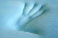 Memory Foam Mattresses